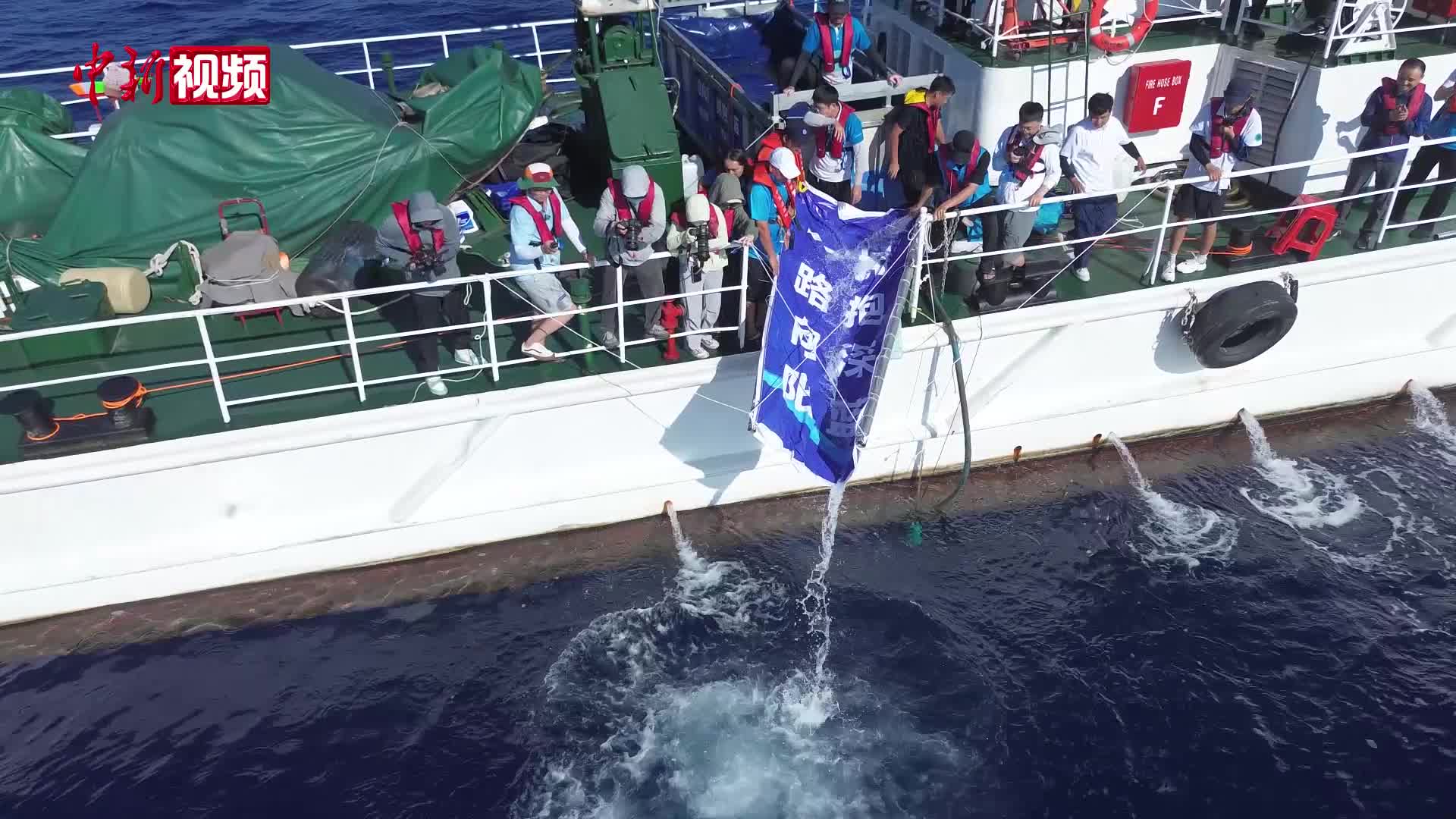 三亞擱淺糙齒海豚“陽陽”重回家園