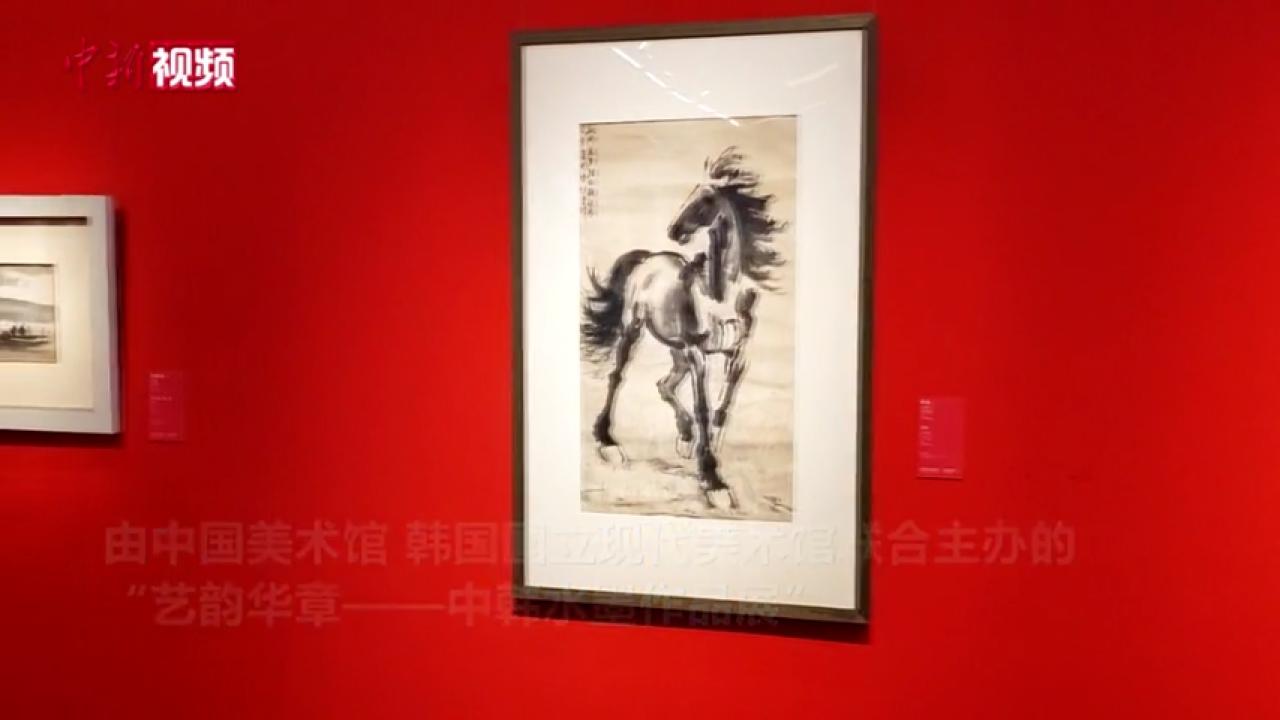 从水墨出发展不同艺韵 中韩水墨作品展亮相中国美术馆