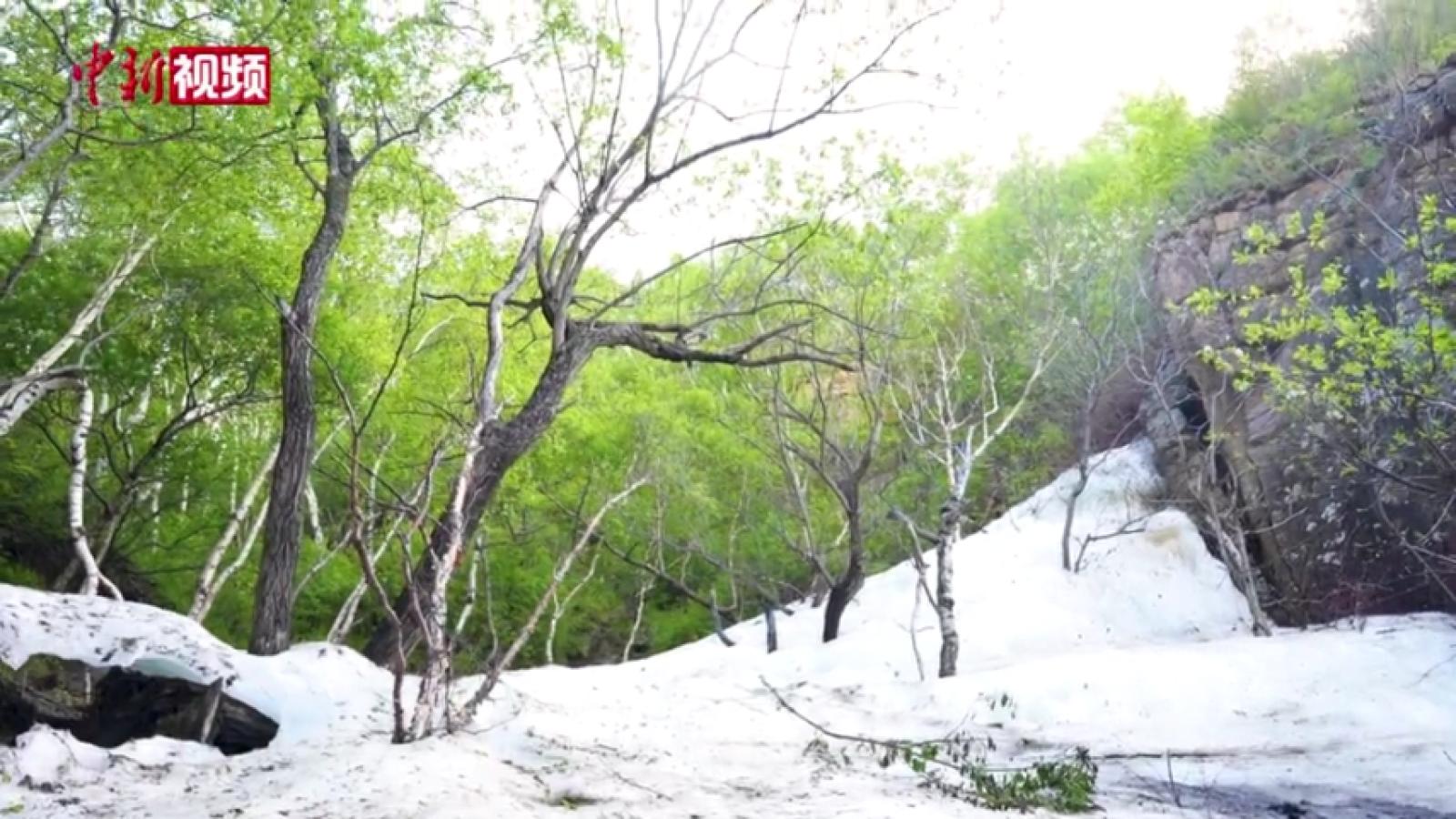 内蒙古：山林深处的夏日冰川奇景
