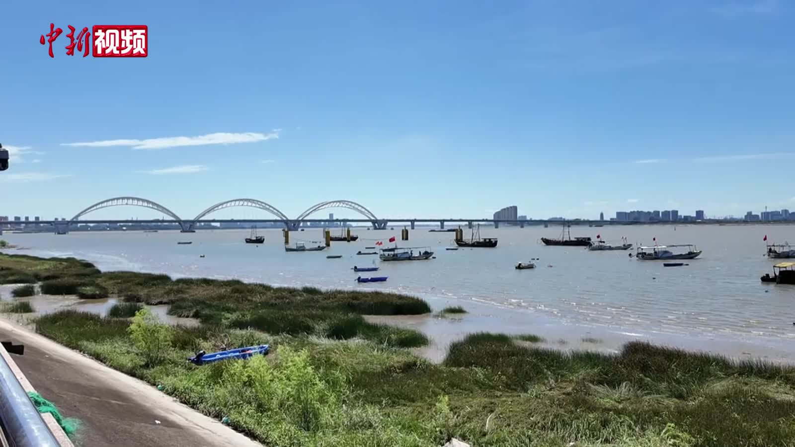 浙江杭州錢塘江結(jié)束禁漁期