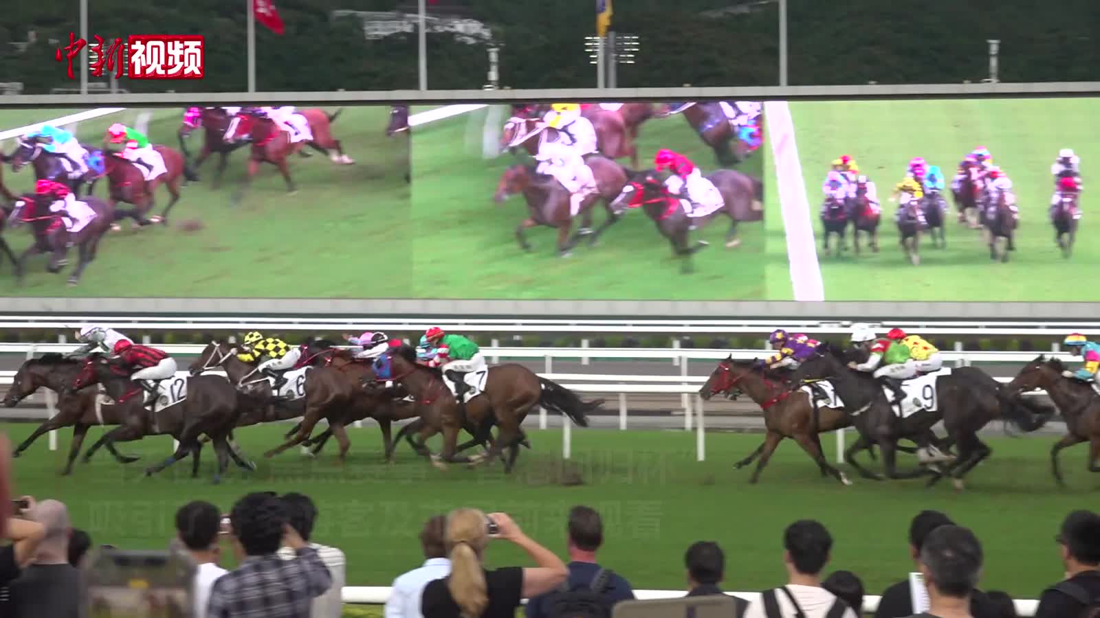 香港舉行“香港共慶回歸賽馬日”
