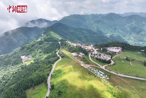 “中國涼都”六盤水避暑季“上新”：游客從“觀光打卡”到“沉浸度假”