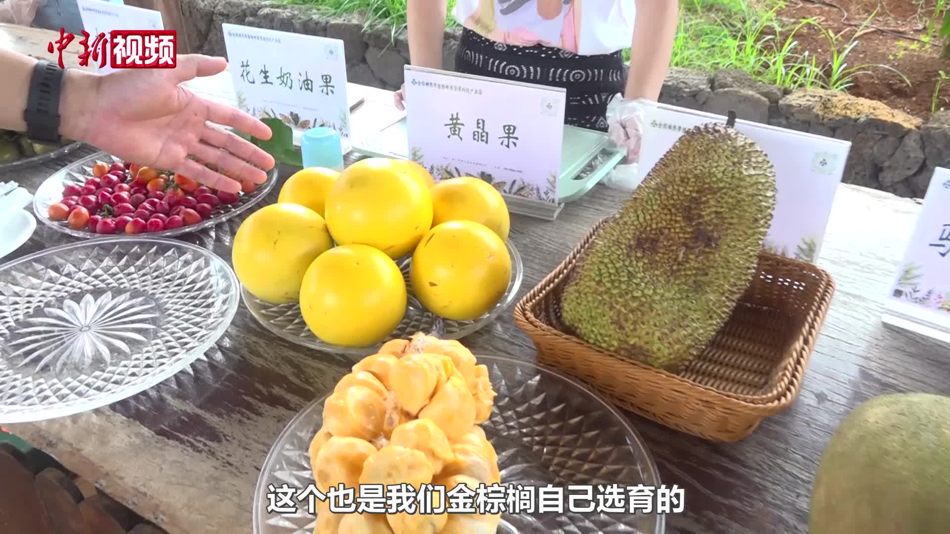 这些“奇珍异果”你吃过吗？