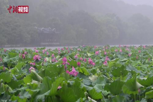 对流天气带来强降雨 杭州西湖呈现“雨湖”景观
