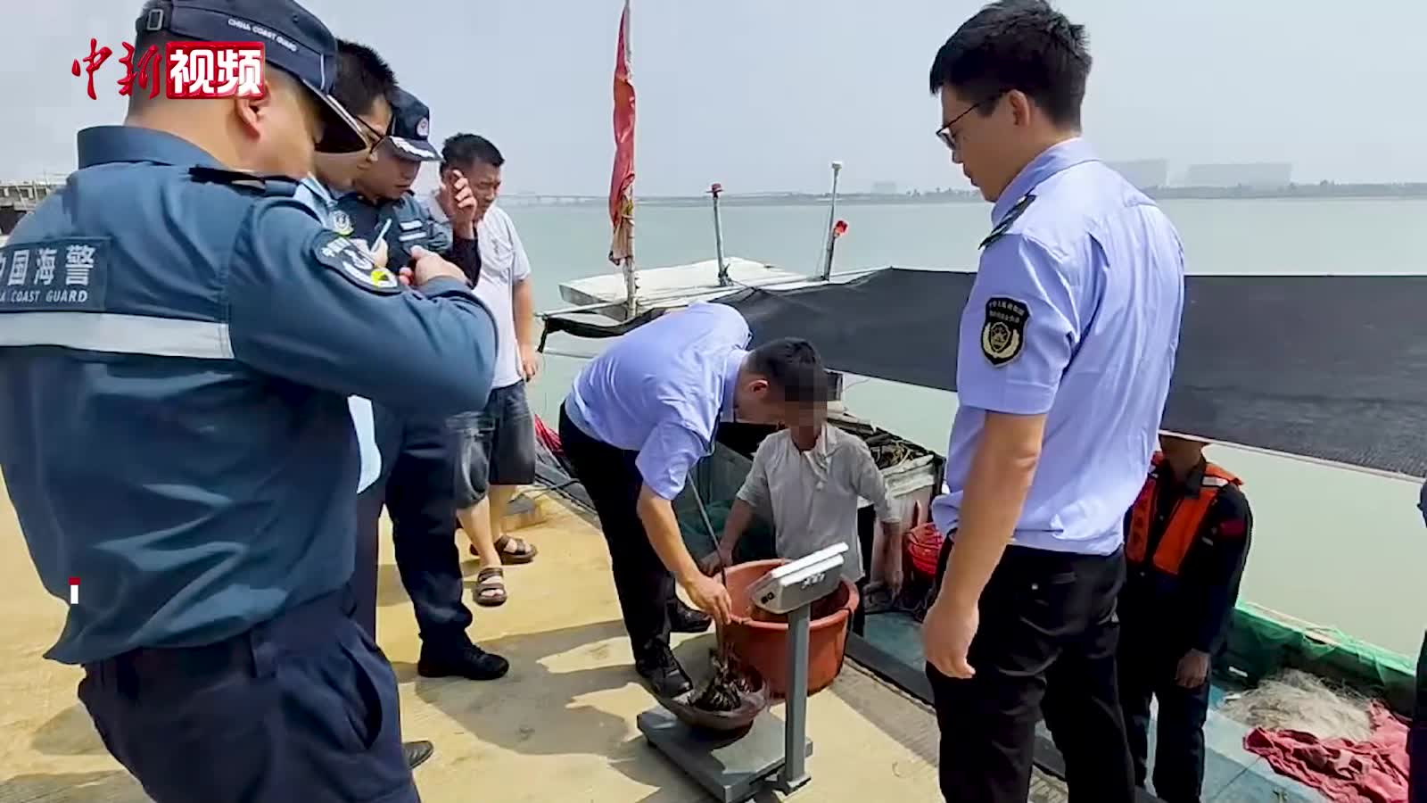 泉州海警局查获非法捕捞国家二级保护动物中国鲎