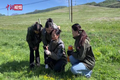 祁连山女子管护队：用坚守的初心和科技的力量守护国家公园