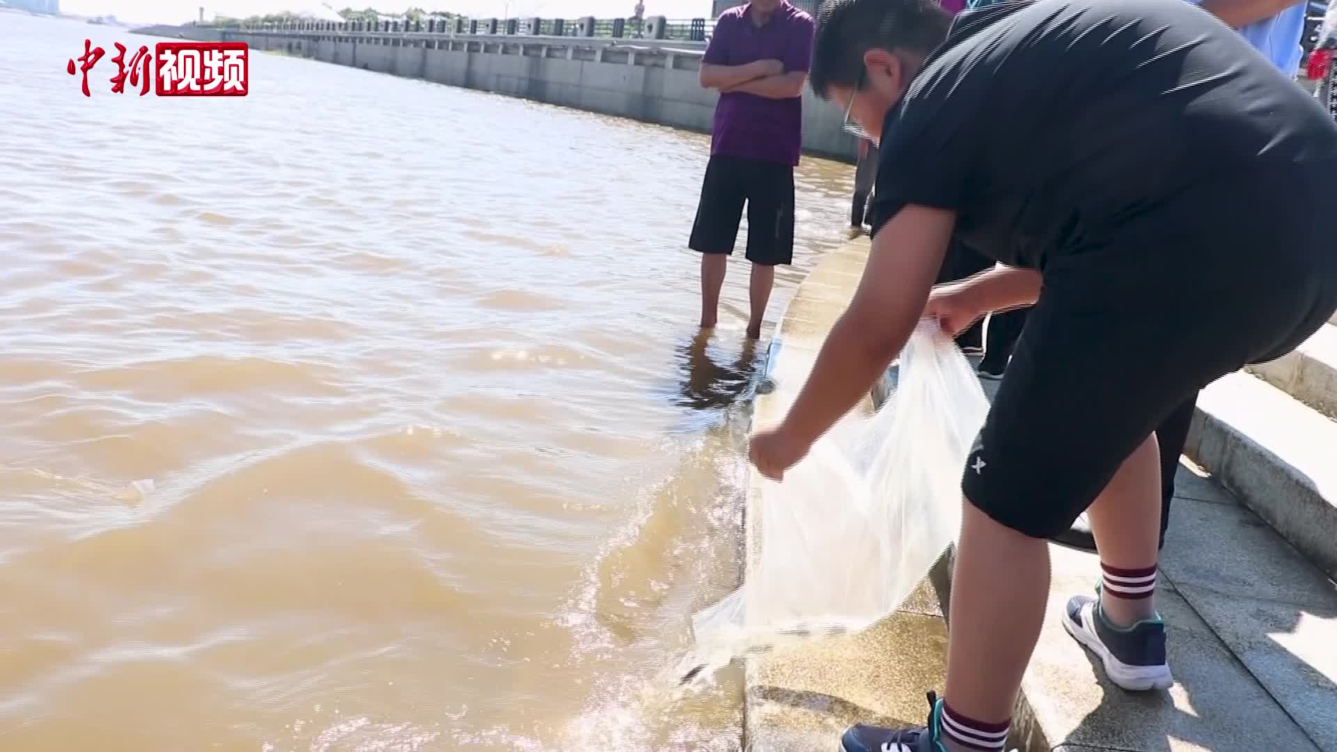 黑龍江愛輝段放流341萬尾魚苗
