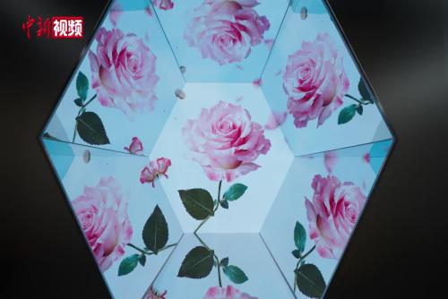中國斗南花卉展覽館亮相