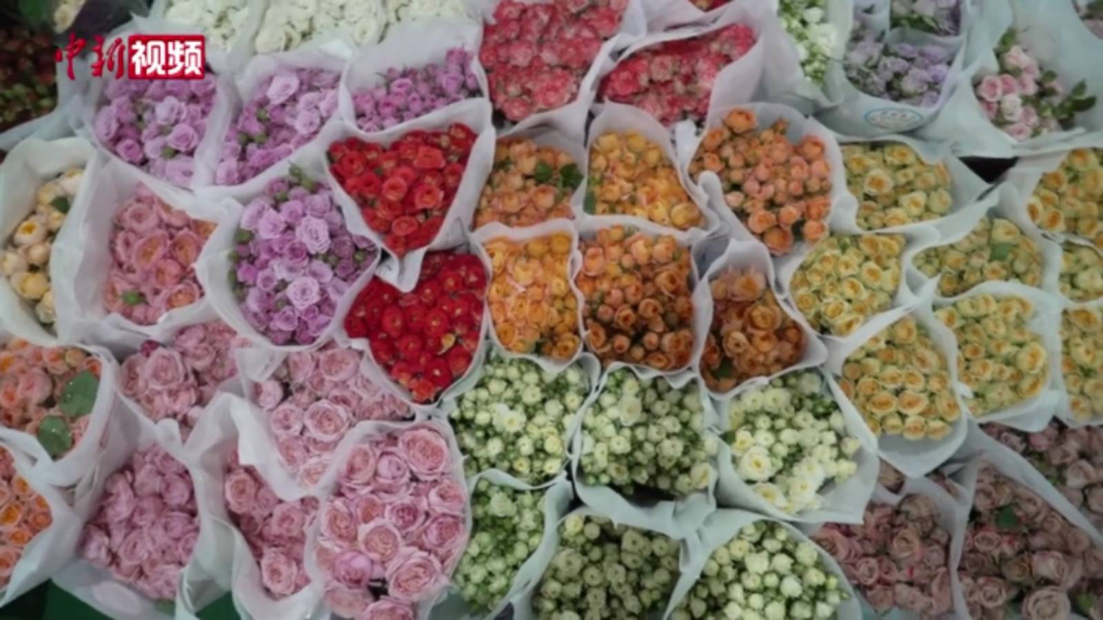 探秘亚洲最大鲜切花市 澜湄国家“鲜花次日达”