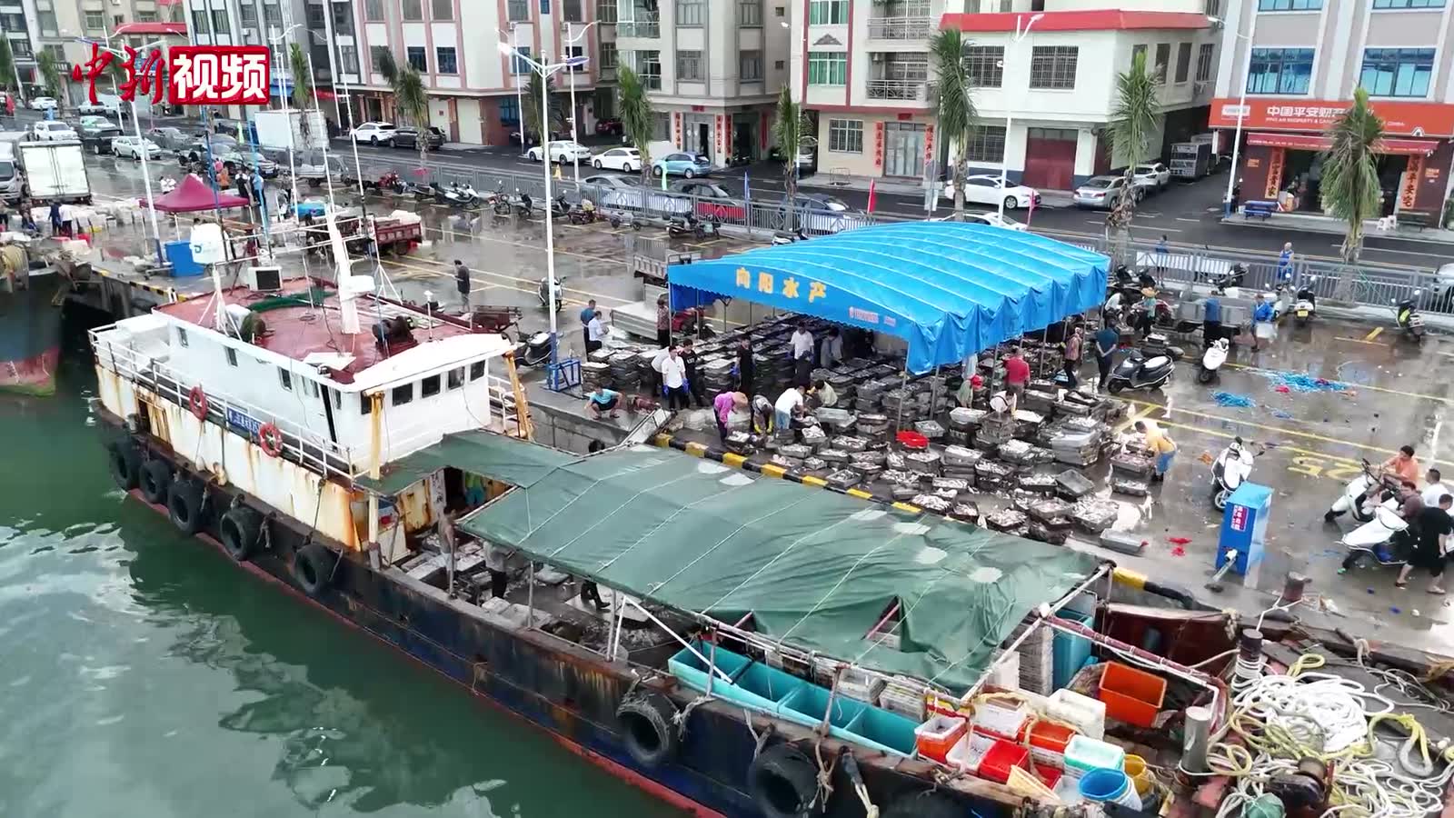 广东阳江首批新鲜渔获返港上岸