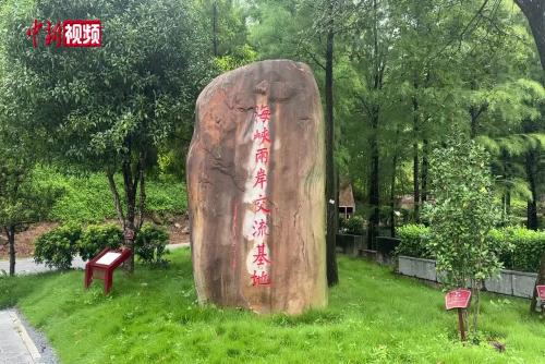 臺(tái)灣青年以文創(chuàng)“重繪”兩岸記憶