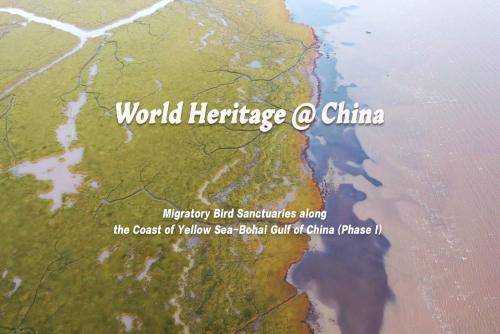 World Heritage @China: Migratory bird sanctuaries along the coast of Yellow Sea-Bohai Gulf of China (Phase I)—A paradise for birds in a beautiful bay