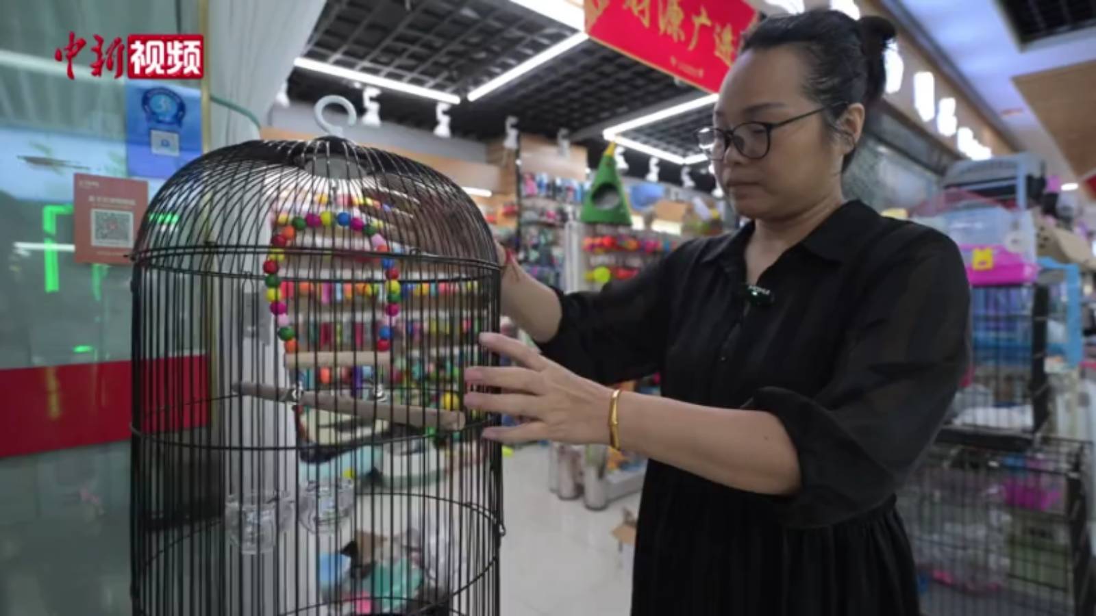 寵物鳥(niǎo)越來(lái)越受年輕人青睞？聽(tīng)聽(tīng)義烏的老板們?cè)趺凑f(shuō)