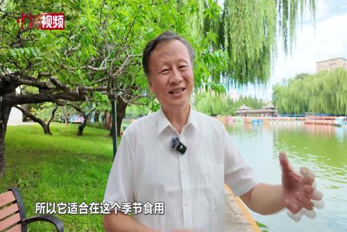 处暑至，此时节为何要吃鸭？