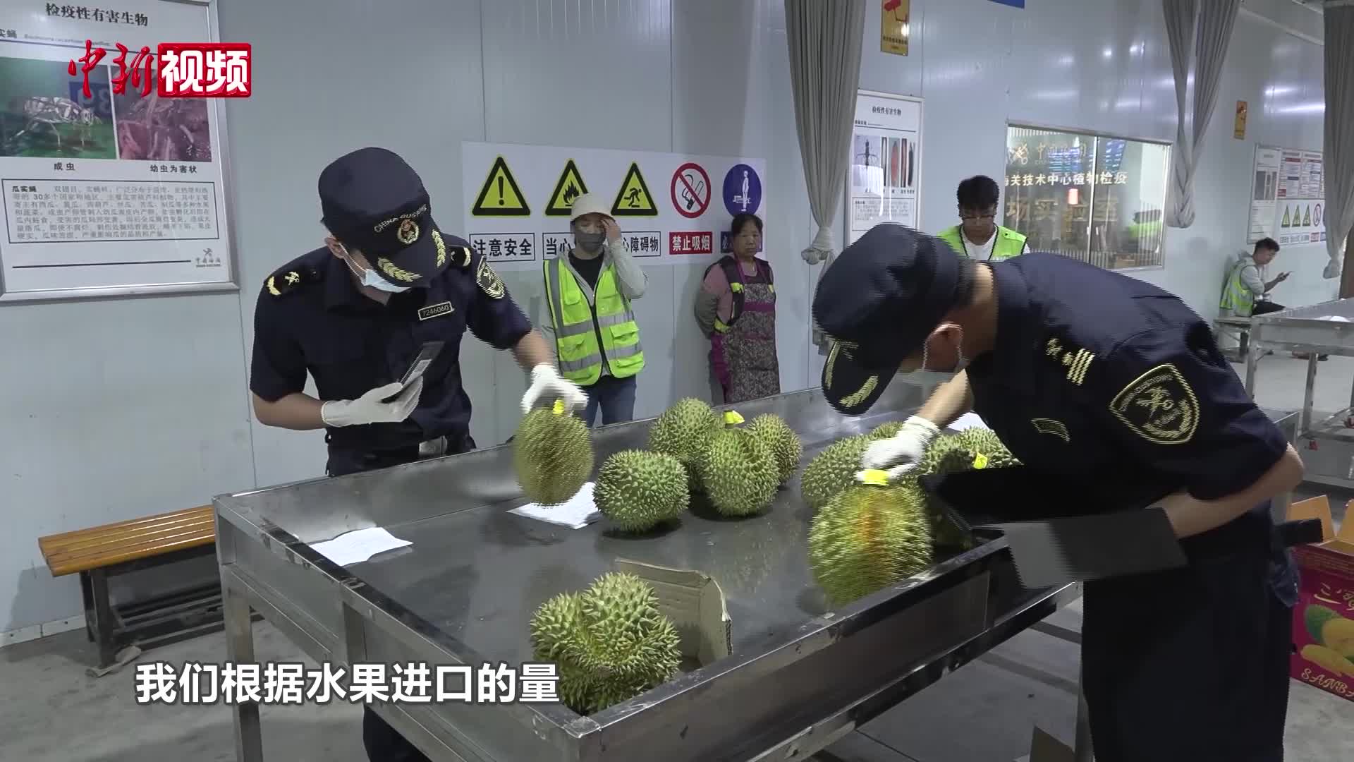 廣西友誼關口岸智能化提速 助東南亞水果入華暢通無憂