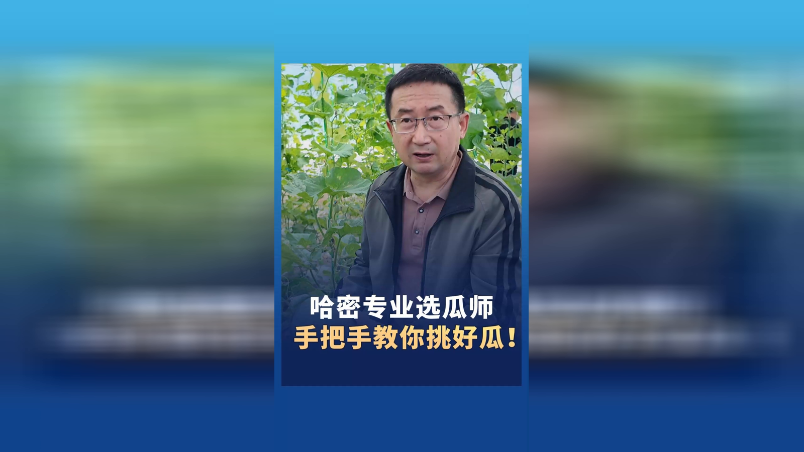 哈密專業(yè)選瓜師手把手教你挑好瓜！