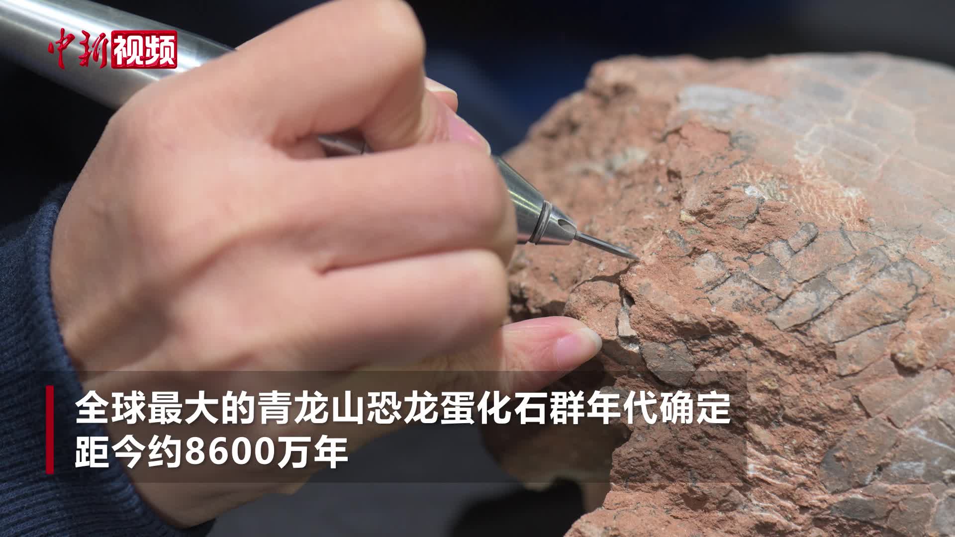 全球最大的青龍山恐龍蛋化石群年代確定