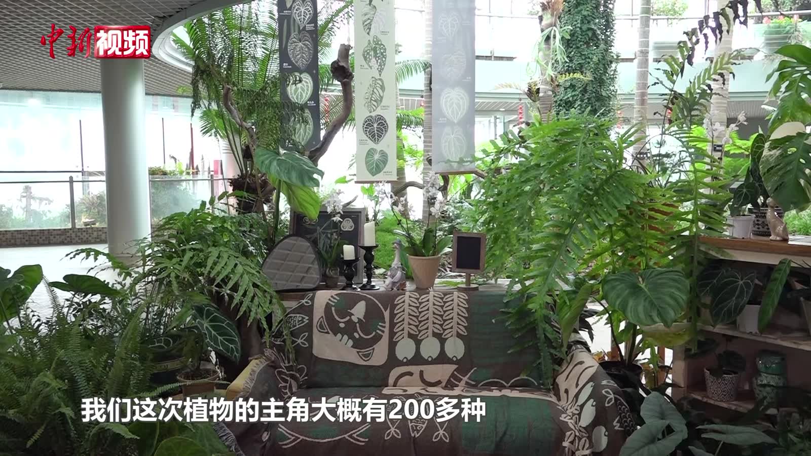植物園與美好生活科普展亮相南京