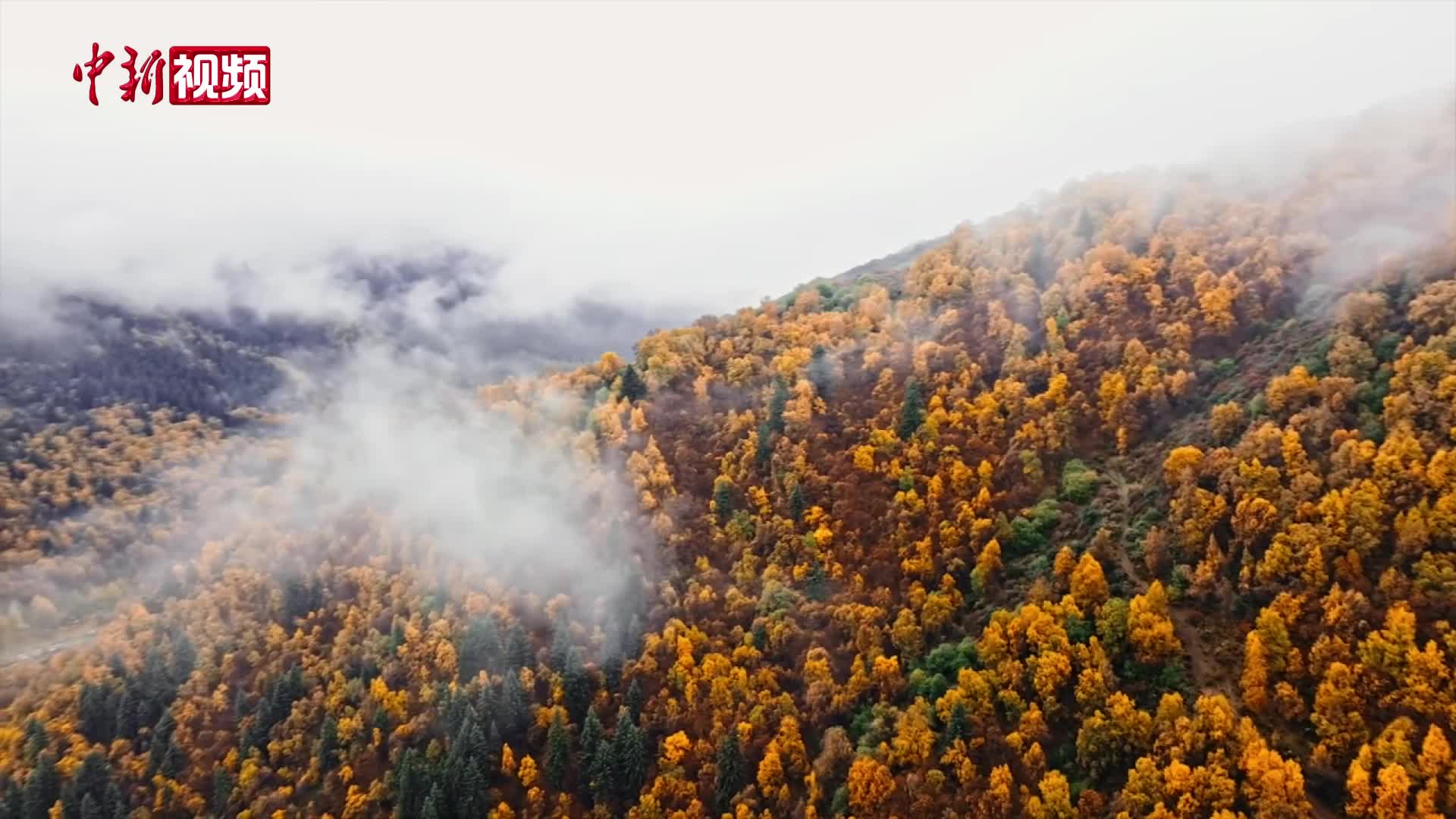 航拍青海高原深秋美景：雪覆山巔 山河染秋