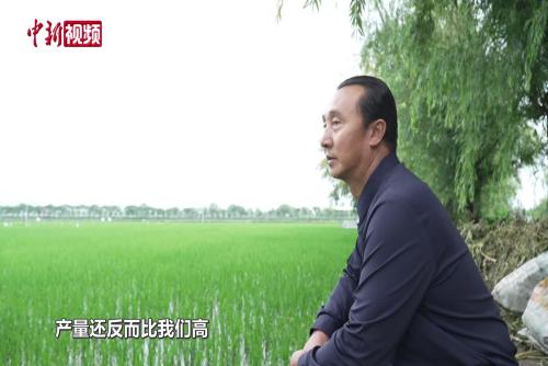 【澜湄印象】三十年渔翁转身 洱海畔种出千年古村“第一个春天”