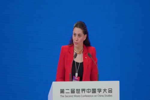 埃及學(xué)者哈迪爾·賽義德：中國(guó)不尋求將自身模式強(qiáng)加于人