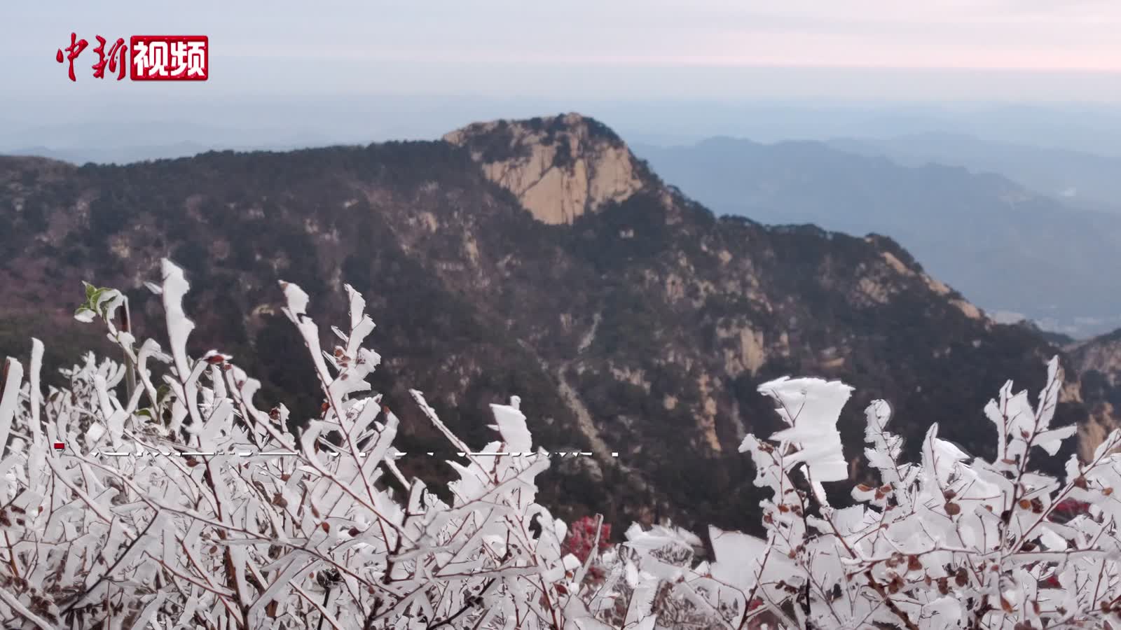 泰山迎今秋首场雾凇景观