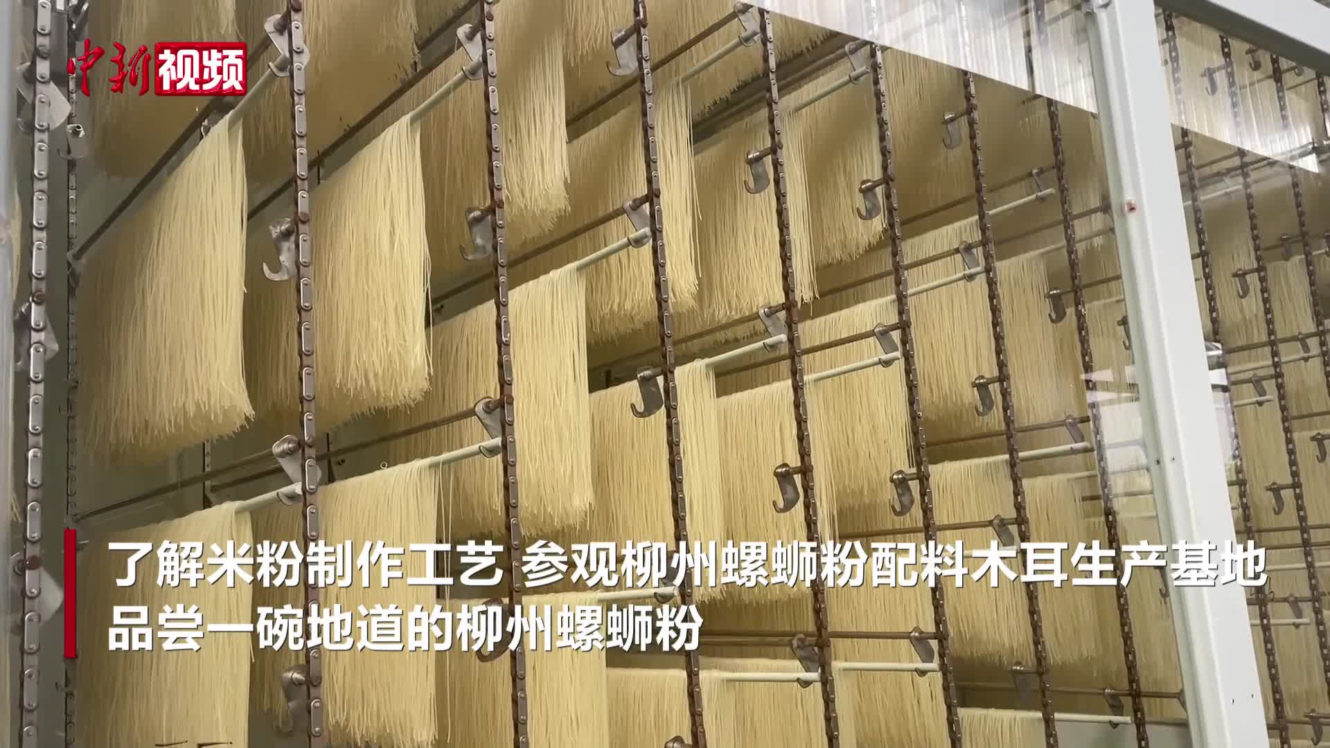 印尼留学生走进广西柳州市螺蛳粉产业基地