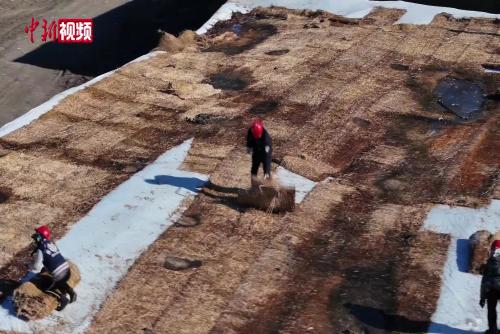 哈爾濱冰雪大世界存冰啟用準(zhǔn)備工作正式開始