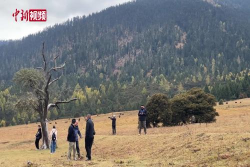 外籍嘉賓點贊西藏林芝生態(tài) 期待更深入了解多元西藏