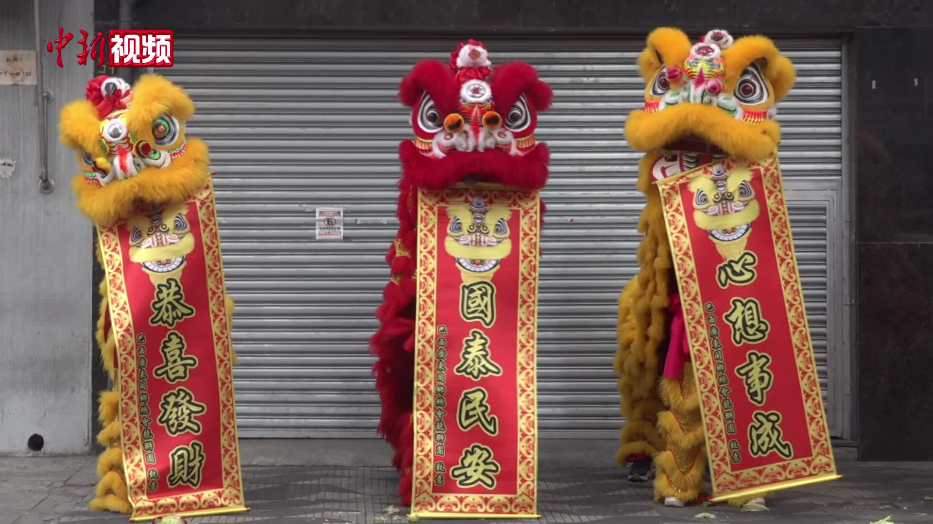 巴西首個(gè)華社醒獅團(tuán)：嶺南流脈 南美傳聲