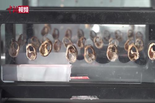 三亞落筆洞遺址發(fā)現(xiàn)一處舊石器時代墓葬