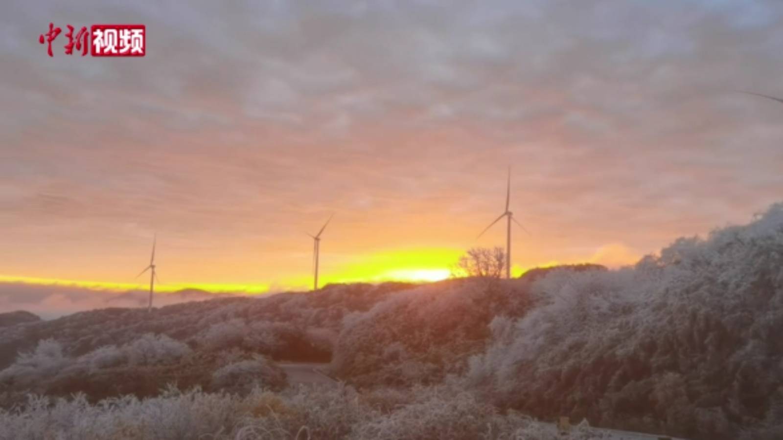 重慶武隆罩云山迎來今冬首場霧凇美景