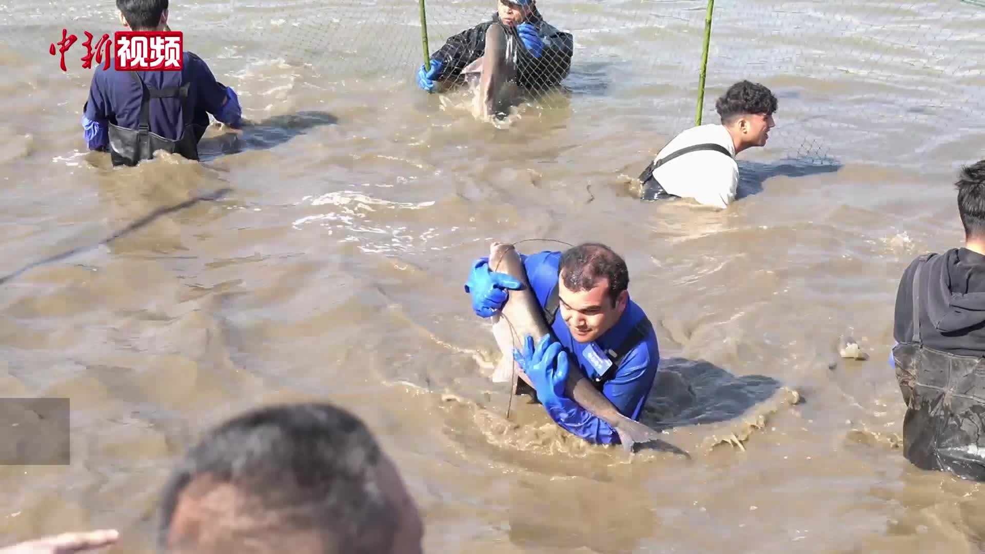 武汉科技大学冬日开捕 师生共飨“沁湖鱼宴”