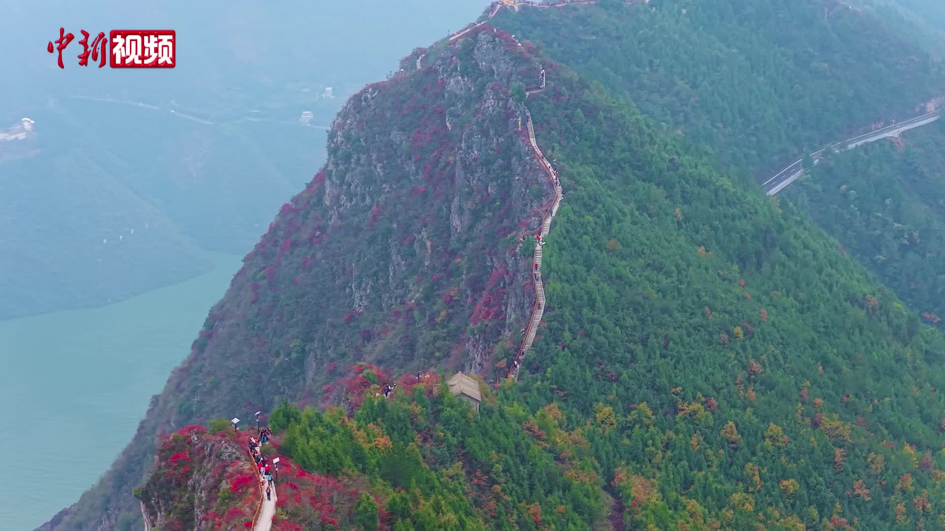 120万亩红叶渐红 长江巫峡两岸层林尽染