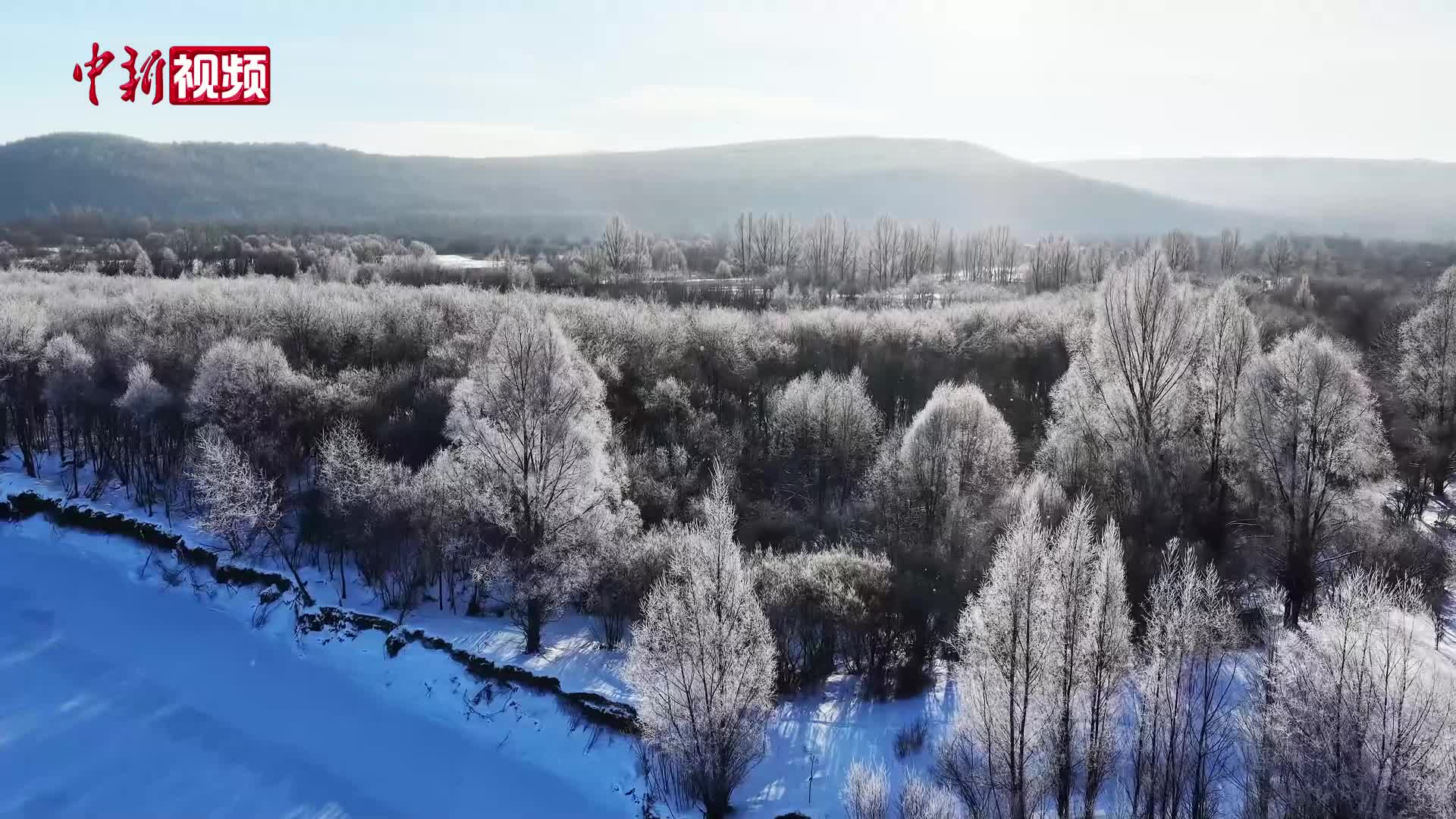 “中国冷极”：万树“梨花”一夜绽