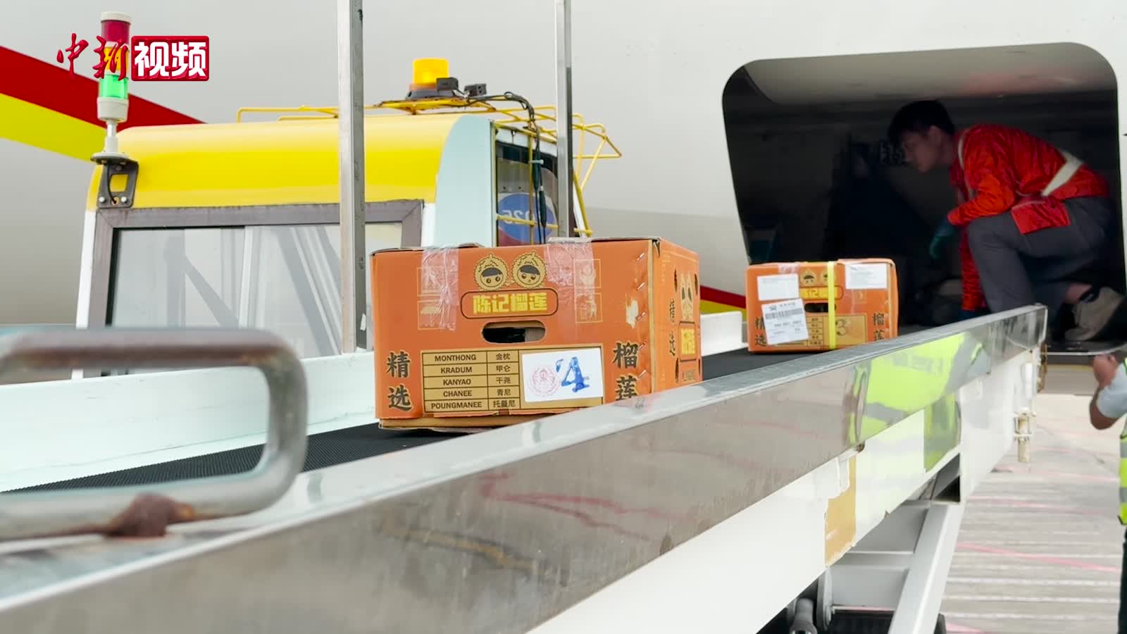 海口机场进境水果指定监管场地迎首单业务