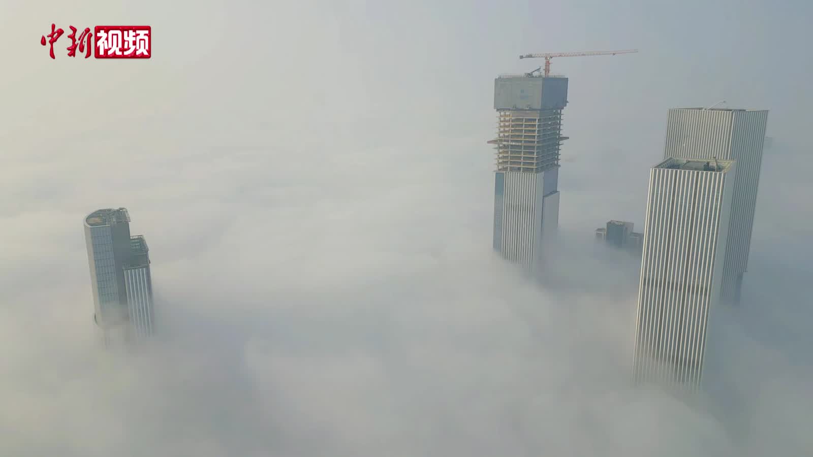 成都清晨現(xiàn)平流霧景觀 高樓藏在“云海”中