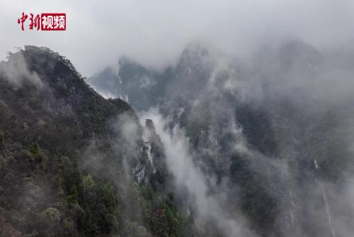 重庆涪陵：冬日雨后武陵山大裂谷云海蒸腾
