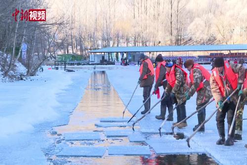 北京：第40届龙庆峡冰灯艺术节采冰进行时