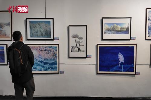 重庆：“大美伊春·魅力丰林”冬季风光摄影作品展启幕