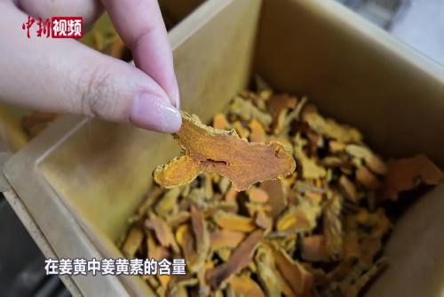 “姜黄养生”：功效是真还是营销？