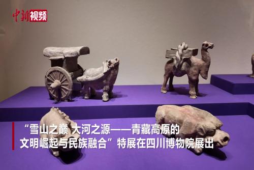 四川博物院：425件文物展现青藏高原民族交往交流交融历程