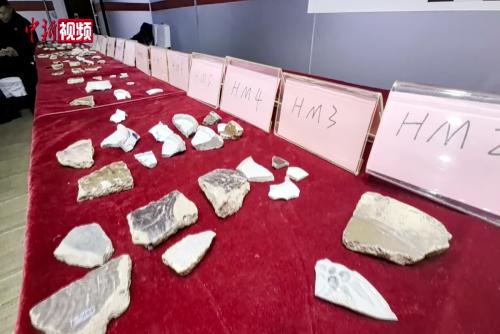 黑龙江木兰县考古发现：辽金古城内出土7000年前陶片