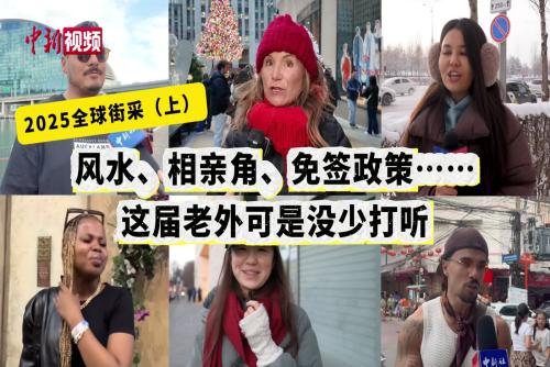 风水、相亲角、免签政策……这届老外可是没少打听