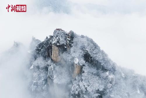 陕西秦岭翠华山现云海景观