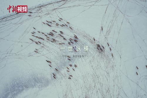 全球首部生肖动物巨幕电影《马到功成》在沪首映