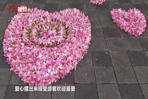 福州一公园保安大叔巧手将落花摆成各种形状