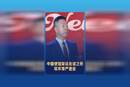 中国使馆架设友谊之桥 筑牢尊严堡垒