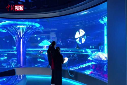 科技赋能沉浸式海洋探索 国家海洋博物馆“未来海洋”展启幕