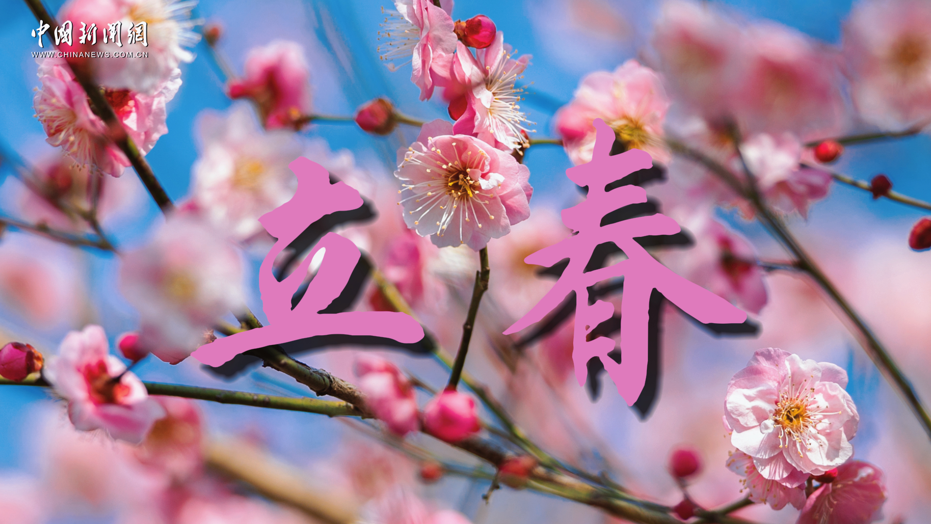 立春：山河待春归 诸事皆顺遂